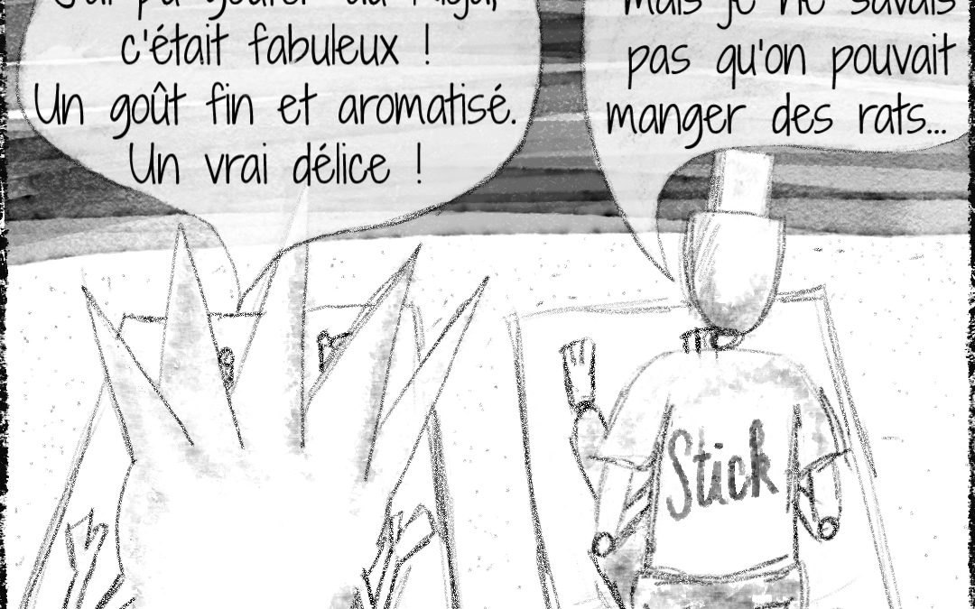 Lingui & Stick – n° 13 à 24